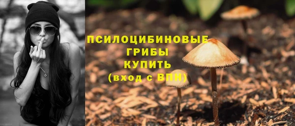 прущий лед Чекалин