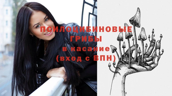 2c-b Гусев