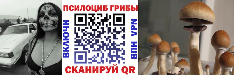 Галлюциногенные грибы Psilocybine cubensis Отрадный